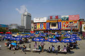 tkf005_2315654