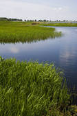 tkf005_2315680