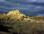 tkf005_2316094