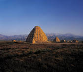 tkf005_2316099