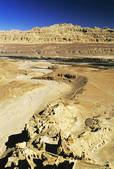 tkf005_2316130