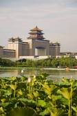 tkf005_2316603