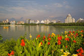 tkf005_2316604