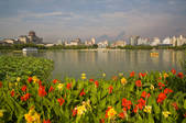 tkf005_2316605