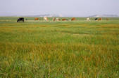 tkf005_2317017