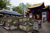 tkf005_2318249