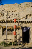 tkf005_2318408