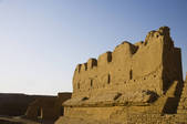 tkf005_2319139