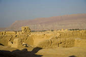 tkf005_2319141