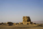 tkf005_2319143