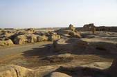 tkf005_2319148