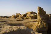 tkf005_2319149