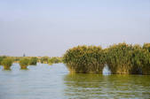tkf005_2319265