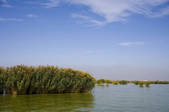 tkf005_2319266