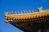 tkf005_2320691