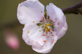 tkf005_2324001