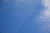 tkf005_2331326