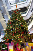 tkf005_2331361