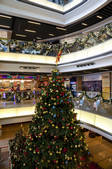 tkf005_2331363