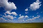 tkf005_2340709