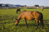 tkf005_2340728