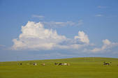 tkf005_2340754