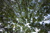 tkf005_2340788