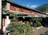tkf005_2347850