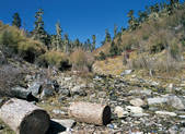 tkf005_2347859