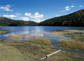 tkf005_2347878