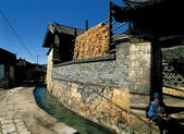 tkf005_2347886