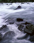 tkf005_2350203