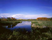 tkf005_2350255