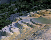 tkf005_2350681