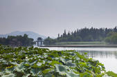tkf005_2354333
