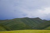 tkf005_2356906