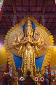 tkf005_2360132