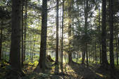 tkf005_2360449
