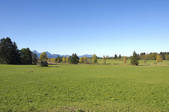 tkf005_2360452