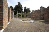 tkf005_2366860