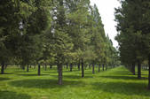 tkf005_2383904