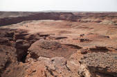 tkf005_2386384