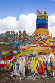 tkf005_2386472