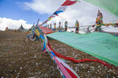 tkf005_2386474