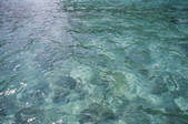 tkf005_2388261