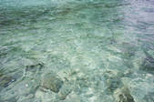 tkf005_2388262