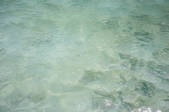 tkf005_2388265