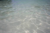 tkf005_2388268