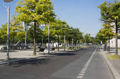 tkf005_2388783