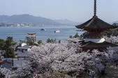 tkf005_302067